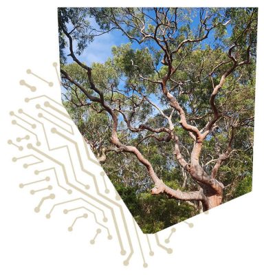 Insert image caption here!